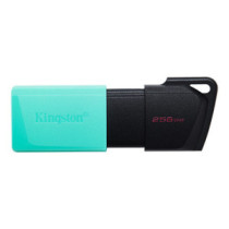 Memoria usb 256gb kingston dtxm/256 usb3.2 exodia m