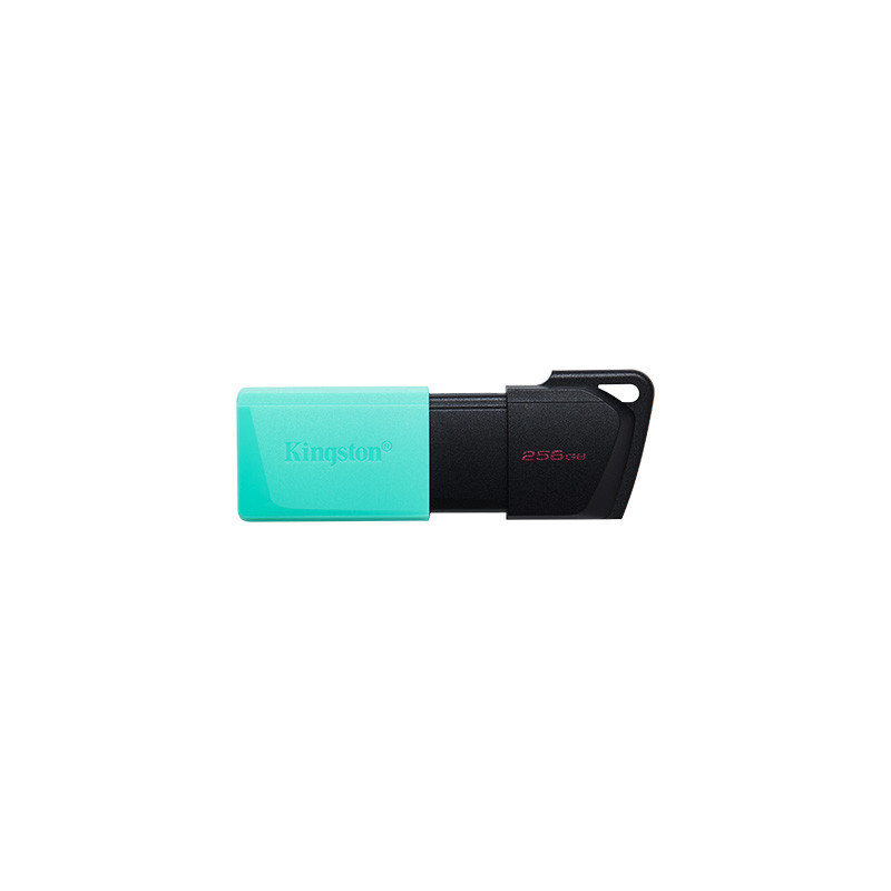 Memoria usb 256gb kingston dtxm/256 usb3.2 exodia m