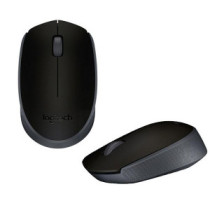 Raton óptico inalámbrico Logitech M171 Negro  910-004424