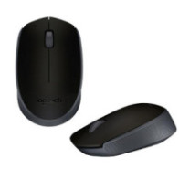 Raton óptico inalámbrico Logitech M171 Negro  910-004424