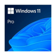 Windows 11 Pro 64 Bit Oem / DVD  FQC-10552 V.25H2